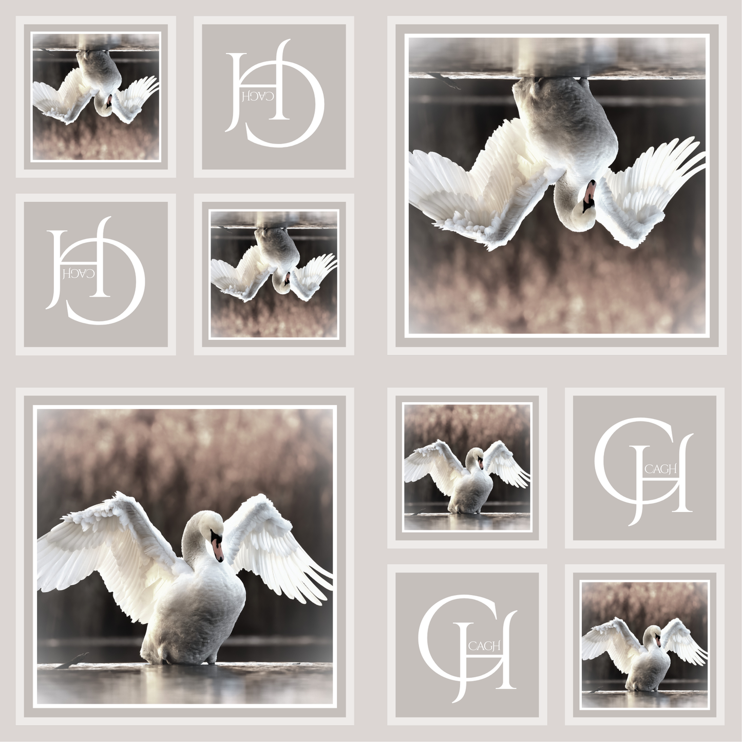 Swan Luncheon Paper Napkin- 25pk- CAGH
