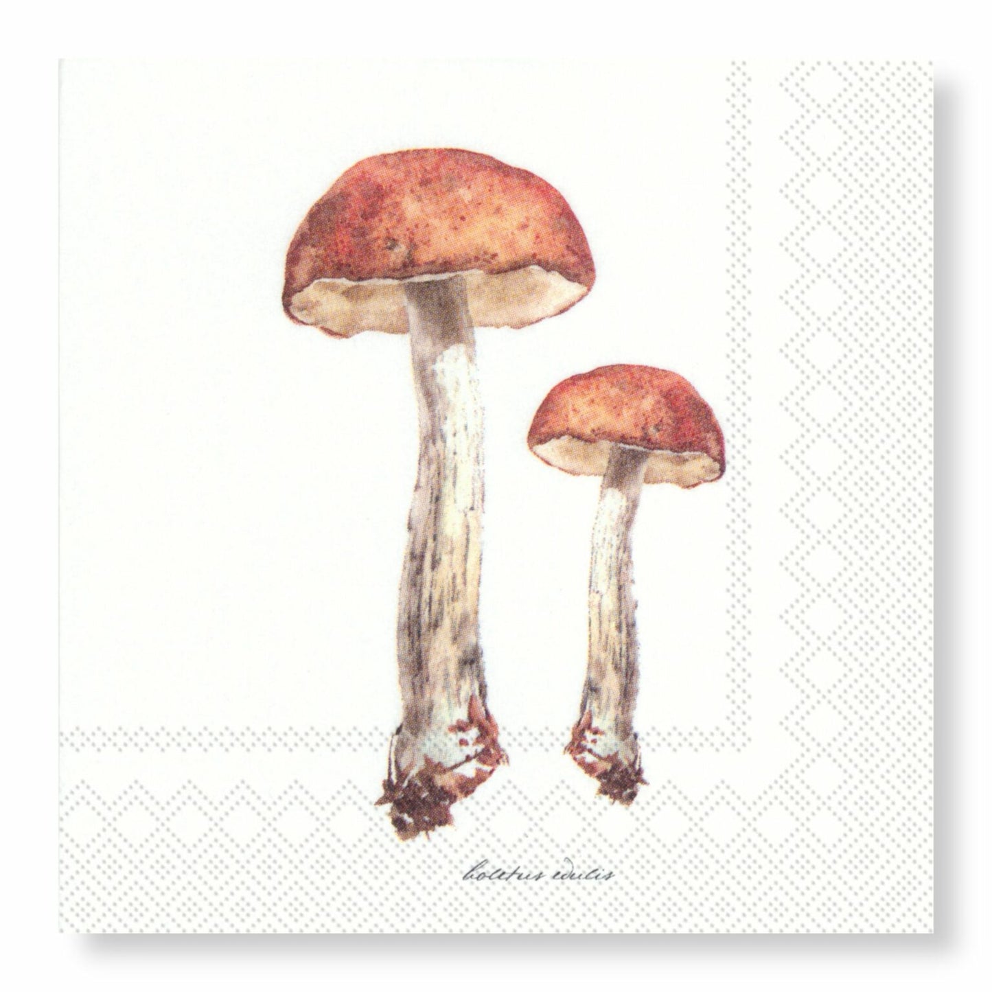 Porcini Cocktail Paper Napkin- 20pk- Manor Road