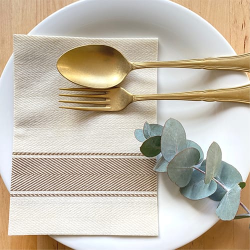 Kitchen Brown Stripe Extra Soft Large Rectangle Paper Napkins- 50pk- Bionap
