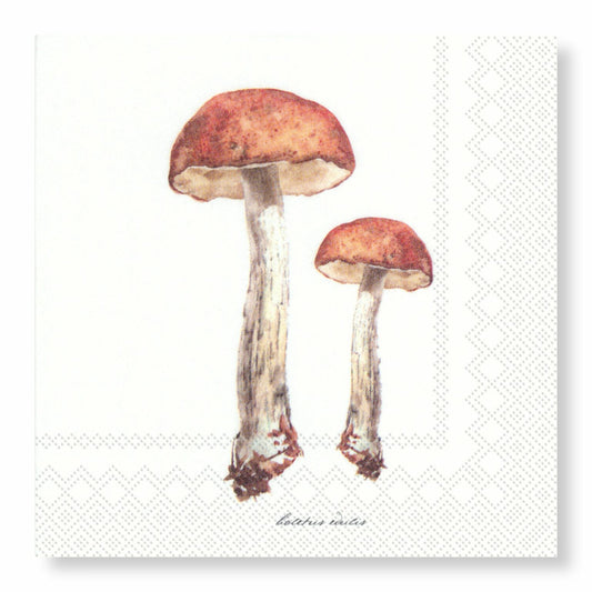 Porcini Cocktail Paper Napkin- 20pk- Manor Road
