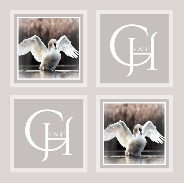 Swan Luncheon Paper Napkin- 25pk- CAGH