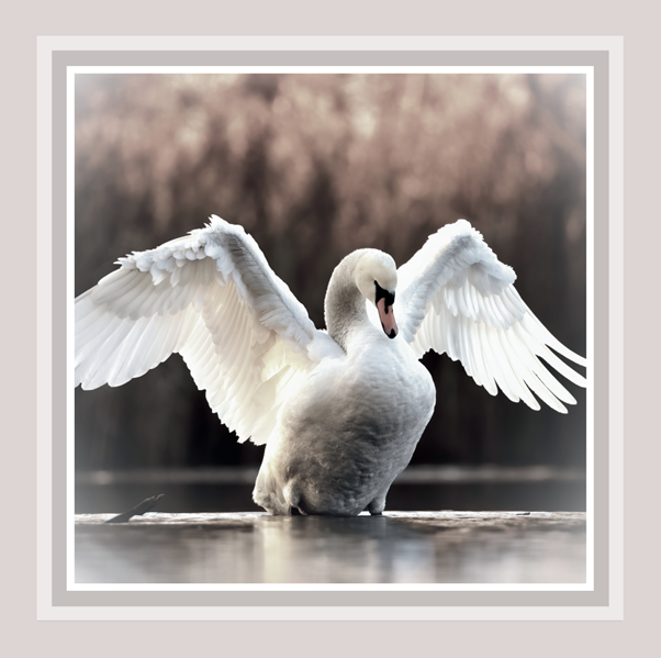 Swan Luncheon Paper Napkin- 25pk- CAGH